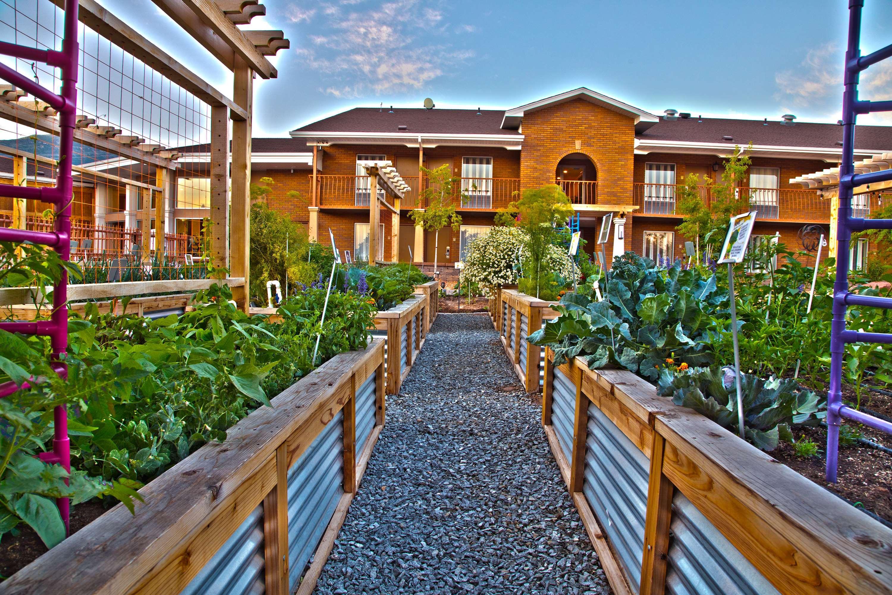 Best Western Plus Cedar City Hotel Exterior photo